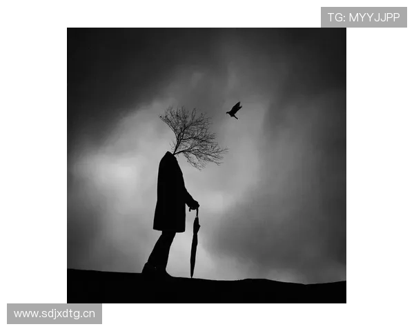 不羁的天空:冲破束缚,拥抱自由的灵魂